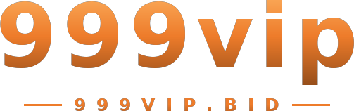 999vip logo